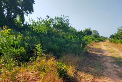 Land in Vipingo - 4