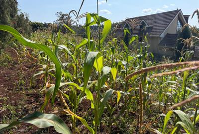 0.025 ac Land in Ngong - 3