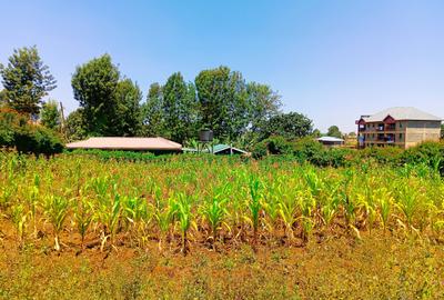 1,000 m² Residential Land at Gikambura