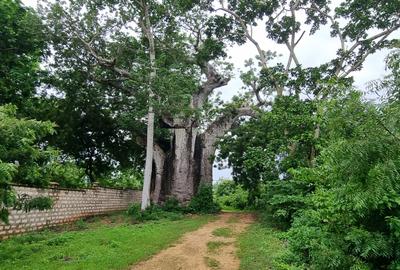 10 ac Land at Kuruwitu - 4