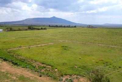 Land in Naivasha - 4