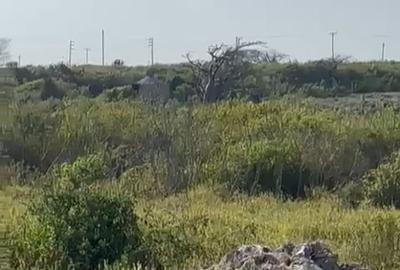Land in Watamu - 4
