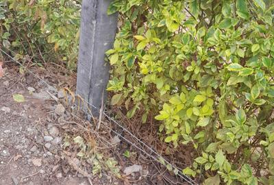 0.125 ac Land at Mucatha Primary School - 2