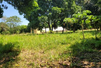 Land at Mt Kenya - 3