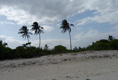1 ac Commercial Land in Kikambala - 2