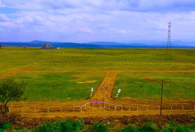 Residential Land in Naivasha - 3