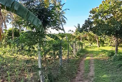 Land at Kwale