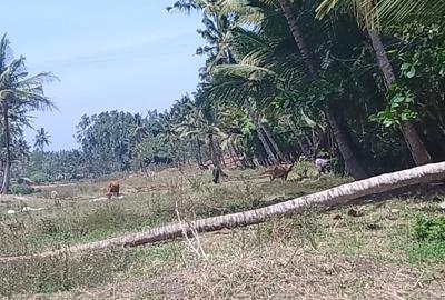 90 ac Land at Ridge - 2