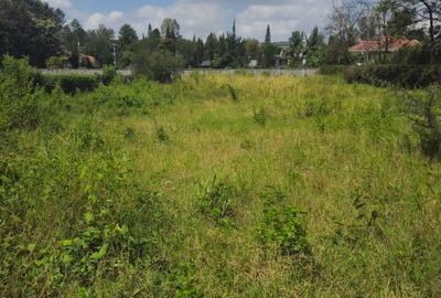 0.6 ac Land at Rundaevergreen - 4