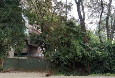 0.5 ac Land at Muthithi Road