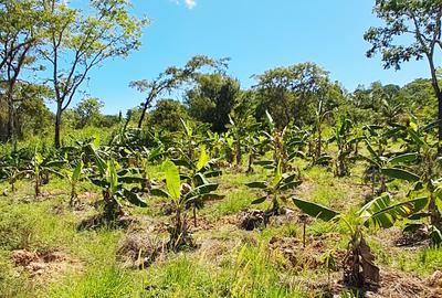 Land at Msambweni