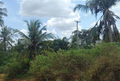 6 ac Land at Msambweni - 4
