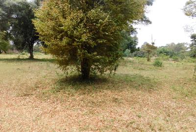 9 ac Land in Karen - 3