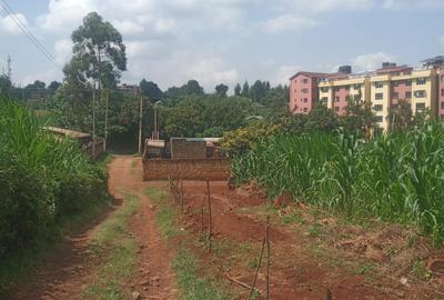 0.5 ac Land in Banana