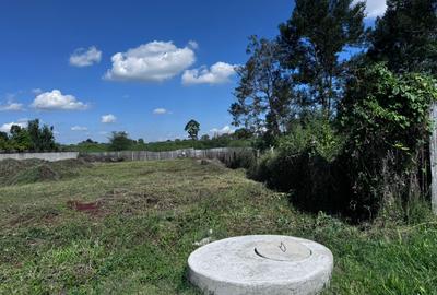 0.5 ac Land in Runda - 3