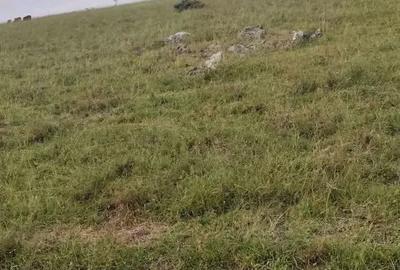 Land in Bisil - 4