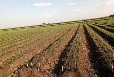 Land in Bisil - 2