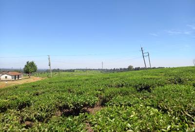250 ac Land at Kiambu - 2