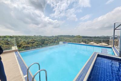 Furnished 4 Bed Apartment with En Suite in Spring Valley - 3
