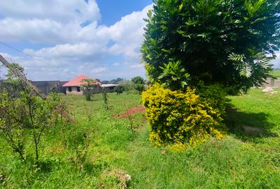 0.5 ac Residential Land in Cianda - 3