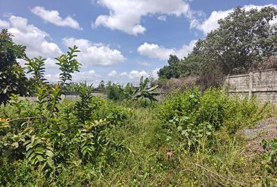 Land at Runda - 2