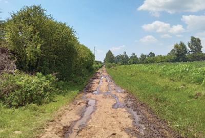5 ac Land in Naivasha - 4