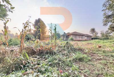 1.25 ac Land at White House Wangige - 4