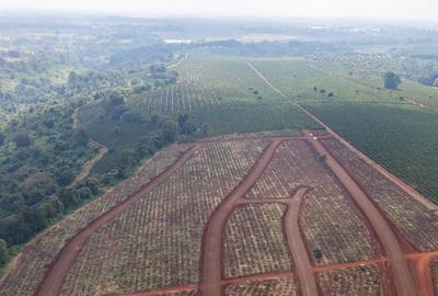 Land in Juja - 2