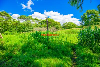 0.2 ha Commercial Land in Ndeiya - 4