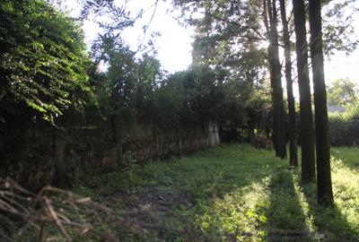 0.10 ha Land at Magadi Road - 3