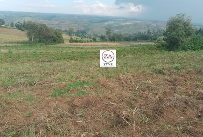 10 ac Land at Enabelbel - 4