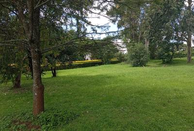 Land in Karen - 4