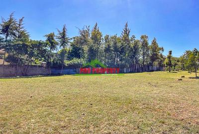 0.15 ha Commercial Land at Thogoto - 4