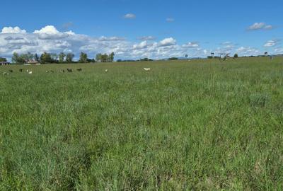 Land in Joska - 2