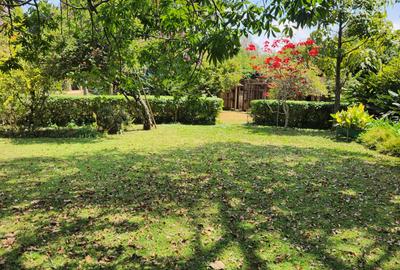 1 ac Land in Karen - 4