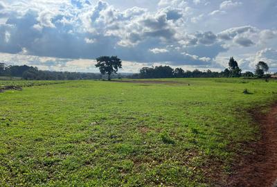 25 ac Land in Kitisuru - 4