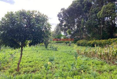 4,000 m² Land in Limuru - 3