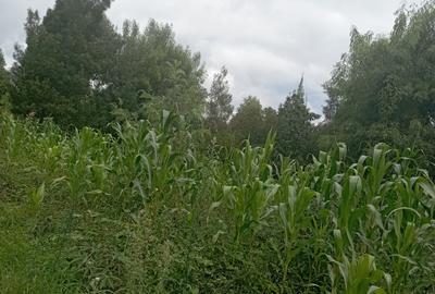 Land in Ngong - 3