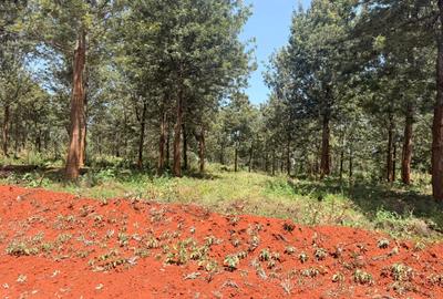 500 m² Residential Land at Ruiru-Githunguri Road - 4