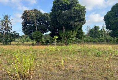 30 ac Land at Kikambala Bomani - 2