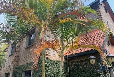 5 Bed Townhouse with En Suite in Lavington