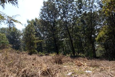 Residential Land at Barabara Mpia