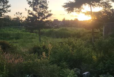 Land at Garden Estate Road