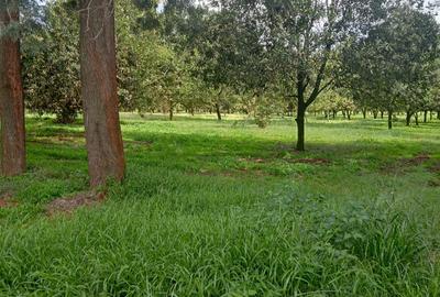 0.125 ac Land at Thika Road - 4