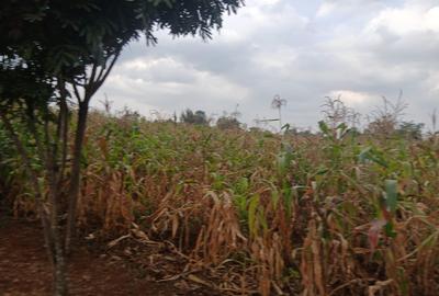 Land in Runda - 2