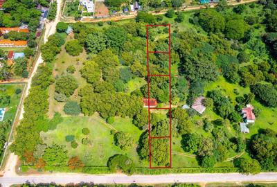 0.25 m² Land at Boribo Road - 3