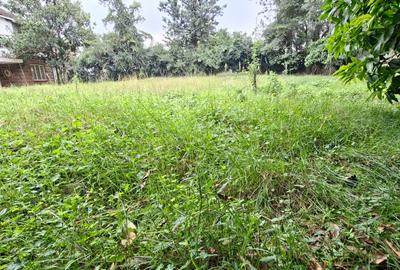 0.51 ac Land at General Mathenge Drive - 4