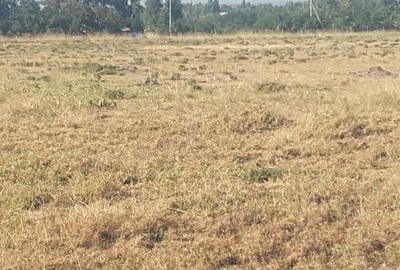 17 ac Land in Ongata Rongai