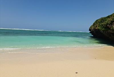 Land at Vipingo - 3