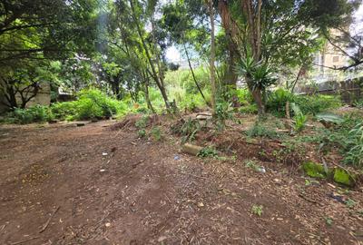 Land in Hurlingham